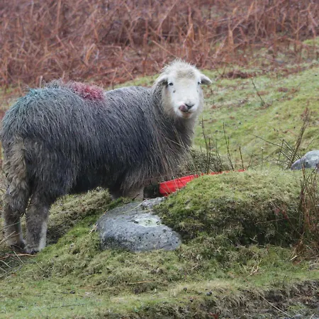 Casa de Férias Beckside Farm